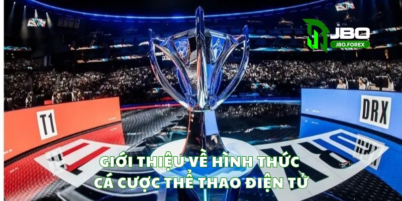 Tổng quan về loại hình cá cược thể thao điện tử hiện nay Tổng quan về loại hình cá cược thể thao điện tử hiện nay