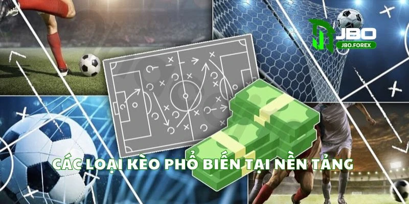 Những hình thức cược được ưa chuộng nhất trên hệ thống