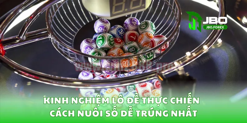 Kinh Nghiệm Lô Đề Thực Chiến – Cách Nuôi Số Dễ Trúng Nhất
