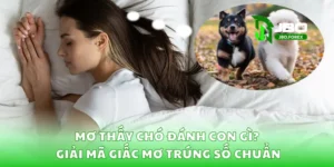 Mơ Thấy Chó Đánh Con Gì? Giải Mã Giấc Mơ Trúng Số Chuẩn